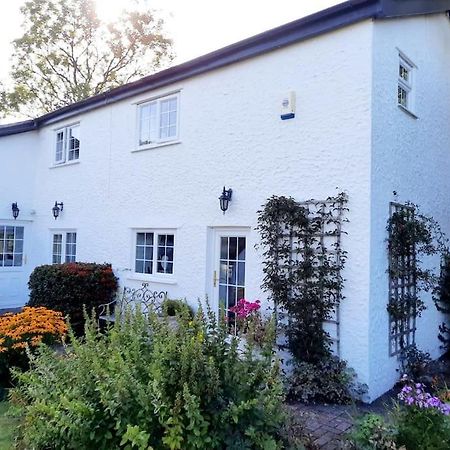 Rhos Y Bel Cottage Angelsey Llangadwaladr  المظهر الخارجي الصورة