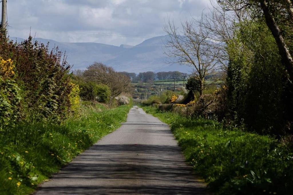 Rhos Y Bel Cottage Angelsey Llangadwaladr  المظهر الخارجي الصورة