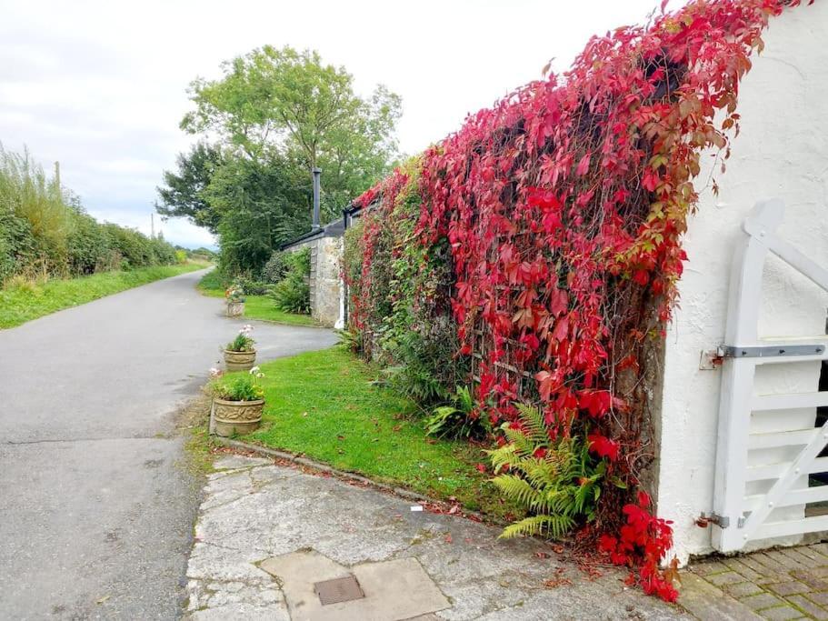 Rhos Y Bel Cottage Angelsey Llangadwaladr  المظهر الخارجي الصورة