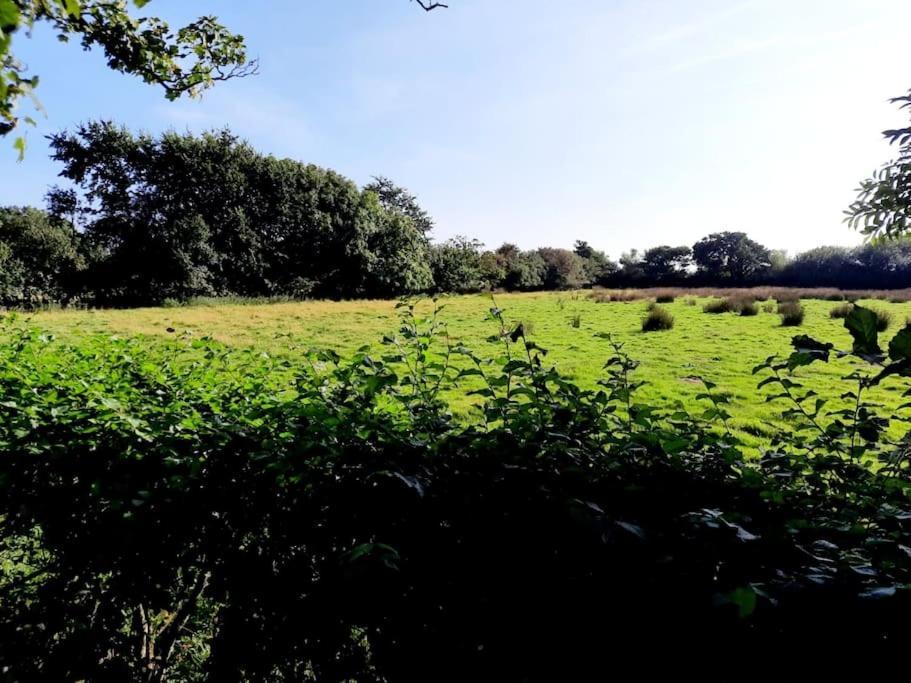 Rhos Y Bel Cottage Angelsey Llangadwaladr  المظهر الخارجي الصورة