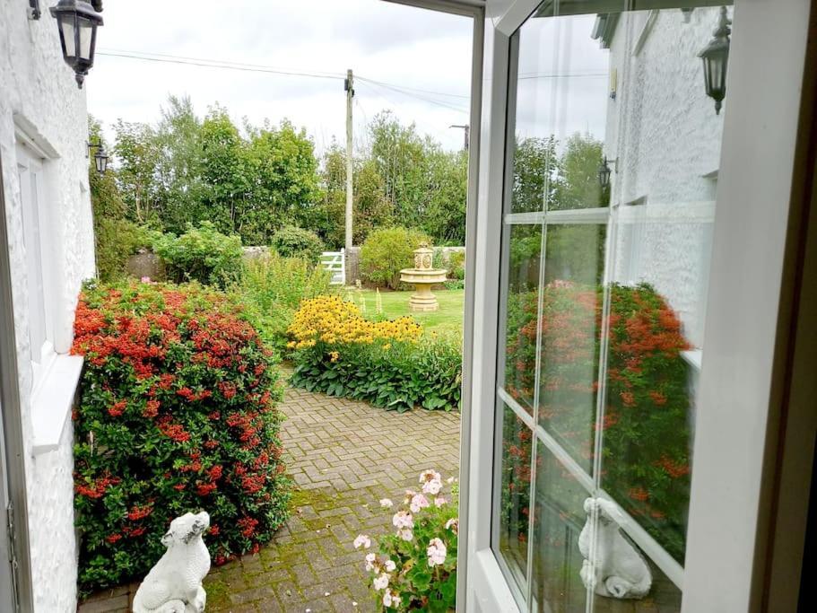 Rhos Y Bel Cottage Angelsey Llangadwaladr  المظهر الخارجي الصورة